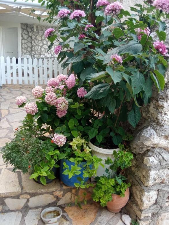Lefki'S House Διαμέρισμα Δρυμώνας Εξωτερικό φωτογραφία