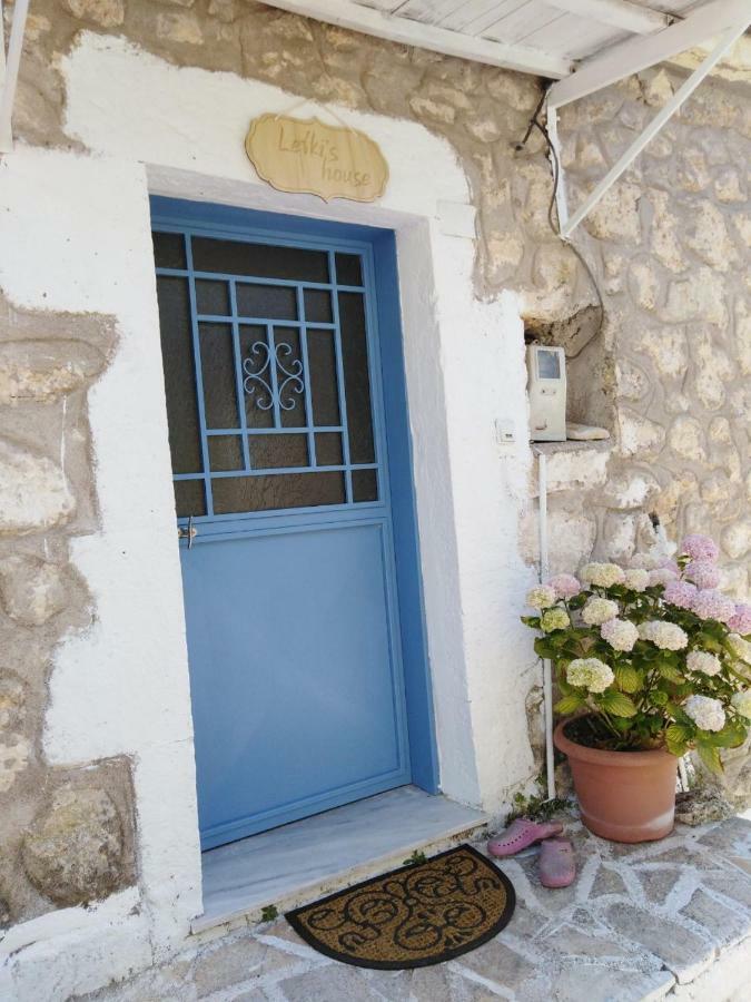 Lefki'S House Διαμέρισμα Δρυμώνας Εξωτερικό φωτογραφία